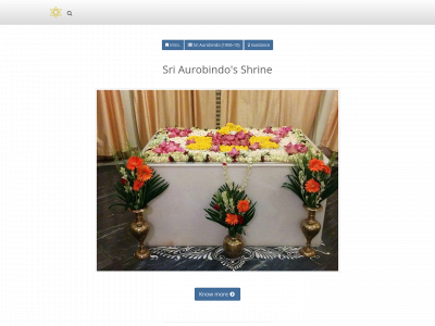 sriaurobindoinstitute.org snapshot