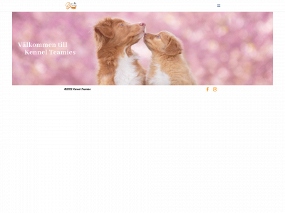 kennelteamies.se snapshot
