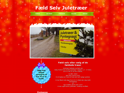 juletraeerikolding.dk snapshot