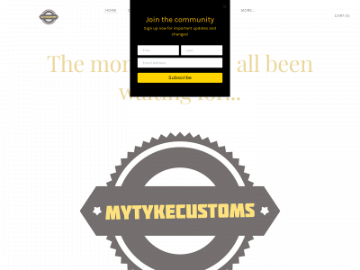 www.mytykecustoms.com snapshot
