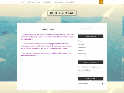 detoxvoyage.com snapshot