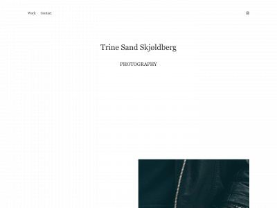 skjoldberg.com snapshot