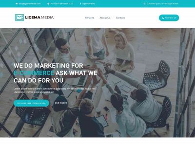 ligemamedia.com snapshot