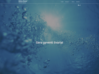 arunosvara.lt snapshot