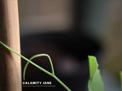 calamityjane.blog snapshot