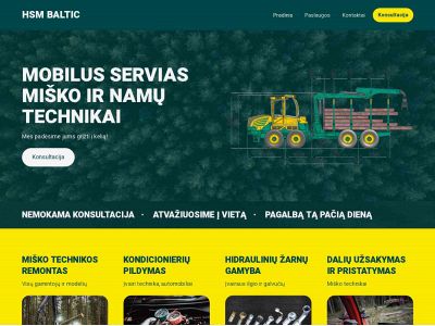 hsmbaltic.lt snapshot