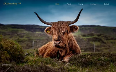 ckjconsulting.co.uk snapshot