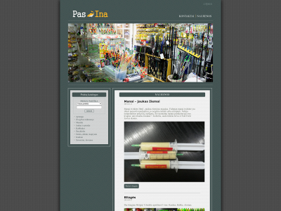 pasina.lt snapshot
