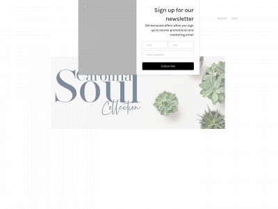 www.carolinasoulco.com snapshot