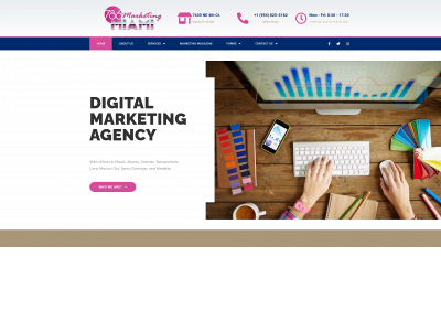 786marketingmiami.com snapshot