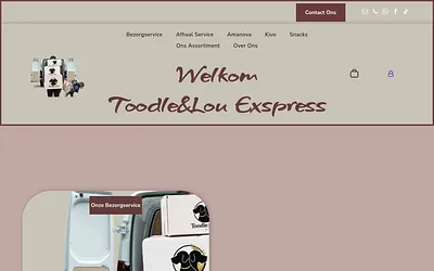 toodlelouexpress.nl snapshot