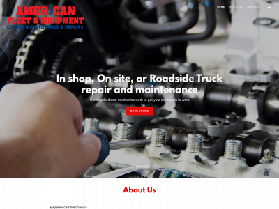 www.americanfleetequipment.com snapshot