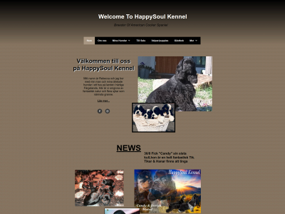 happysoul.nu snapshot