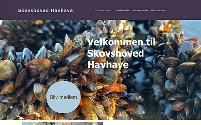 skovshovedhavhave.dk snapshot