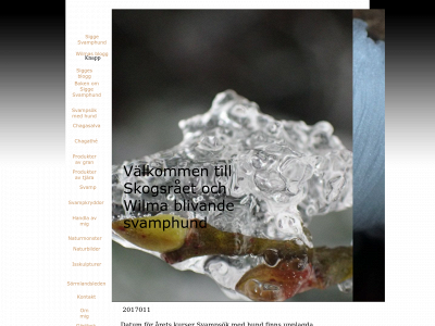 skogsraets.se snapshot