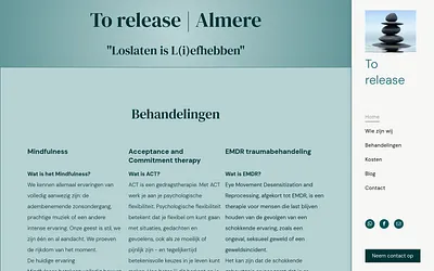 torelease.nl snapshot