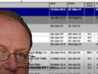 p6brill.com snapshot