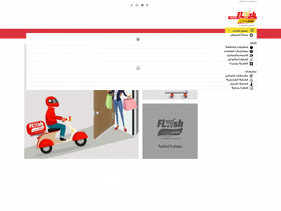 flashmarketeg.com snapshot