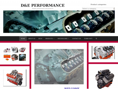 dandeperformance.com snapshot