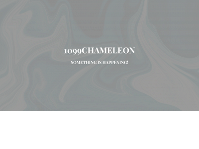 1099chameleon.com snapshot