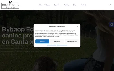 bybaop.es snapshot