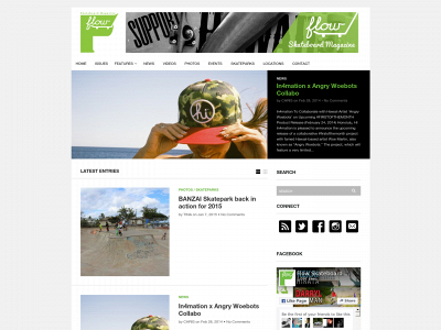 flowskatemag.com snapshot
