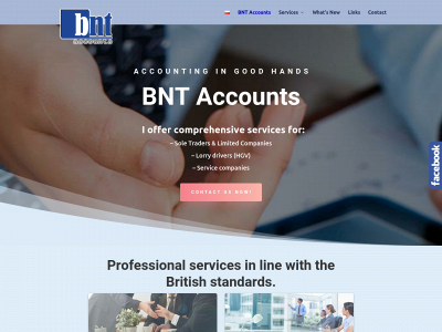 bntaccounts.co.uk snapshot
