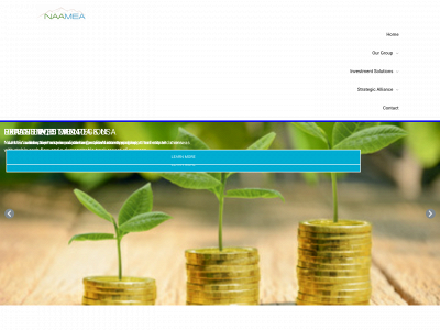 naamea.com snapshot
