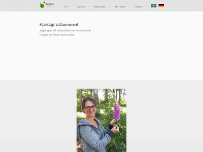 sabineochmat.se snapshot