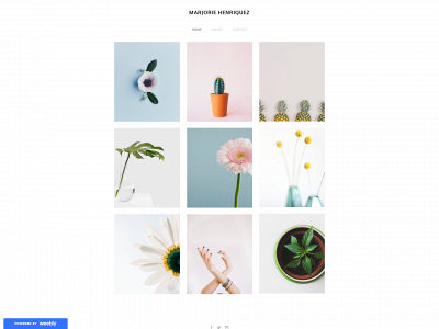 marjoriehenriquez.weebly.com snapshot