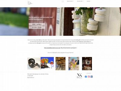 blikkgalleri.no snapshot