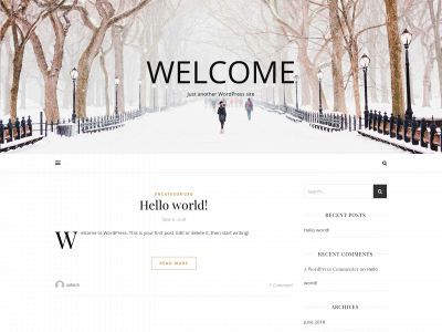 thebudgetjourney.com snapshot
