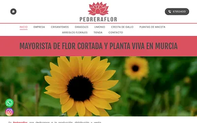 www.pedreraflor.com snapshot