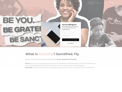 www.thesanctiflychick.com snapshot