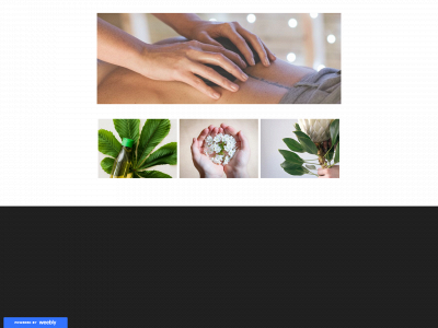 www.mymobilemassage.com.au snapshot