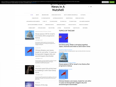 gnn-globalnews.com snapshot