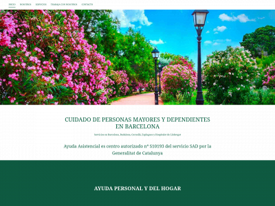 www.ayudaasistencial.es snapshot