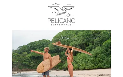 www.pelicanosurfboards.com snapshot