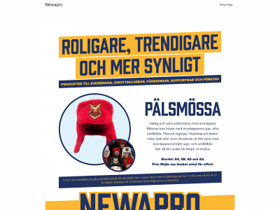 newapro.se snapshot