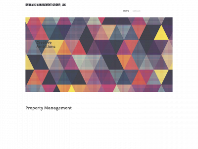 www.dynamicmanagementgroup.com snapshot