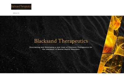 blacksandtherapeutics.com snapshot