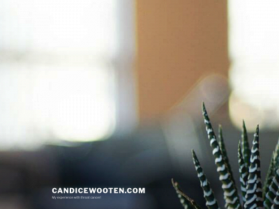 candicewooten.com snapshot