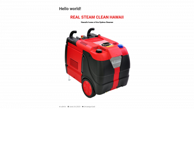 realsteamcleanhi.com snapshot