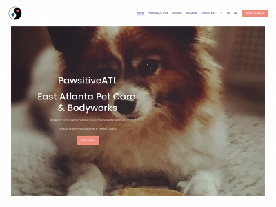 pawsitiveatl.com snapshot