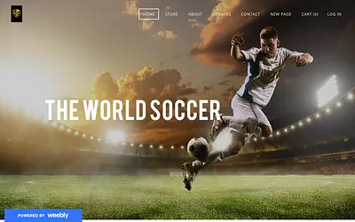 theworldsoccerusa.weebly.com snapshot