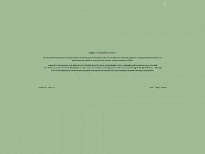 carolin-th.se snapshot