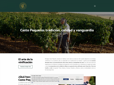 castopequeño.com snapshot