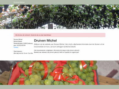 druivenmichel.be snapshot