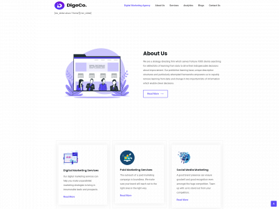 bizanalytics.ca snapshot