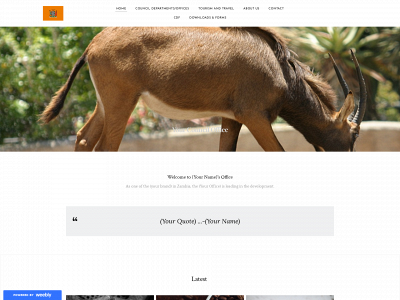 councilsample3.weebly.com snapshot